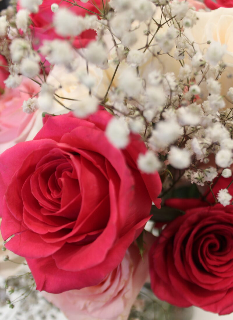 pink and white roses with baby's breath.